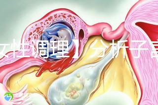 【女性調(diào)理】分析子宮壁薄的四個常見原因，教你三招對癥下藥可以快速改善！