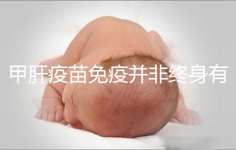 甲肝疫苗免疫并非終身有效，滅活類型抗體持續(xù)時(shí)間更久