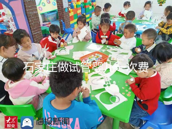 石家莊做試管嬰兒一次費用是多少錢?各大醫(yī)院成功率看這里