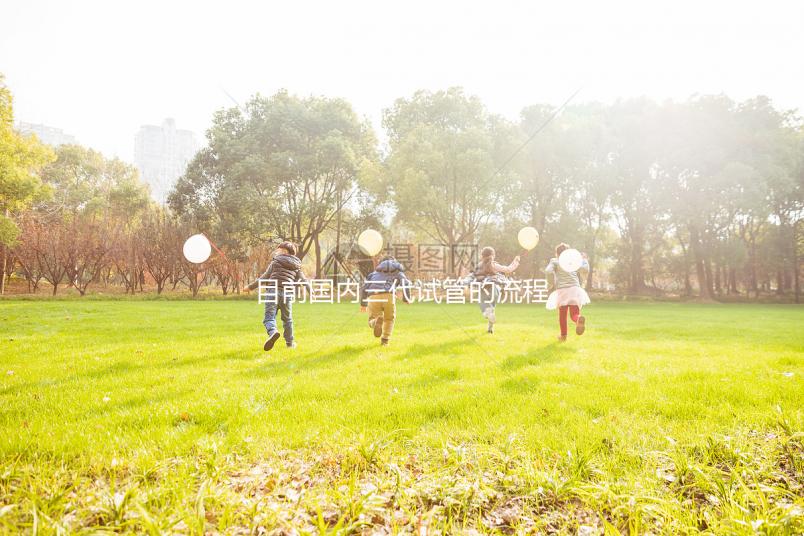 目前國內三代試管的流程是怎樣？