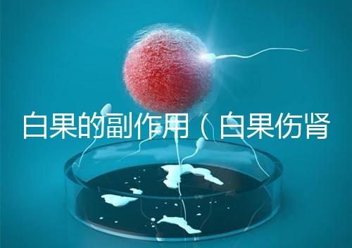 白果的副作用(白果傷腎還是補(bǔ)腎)