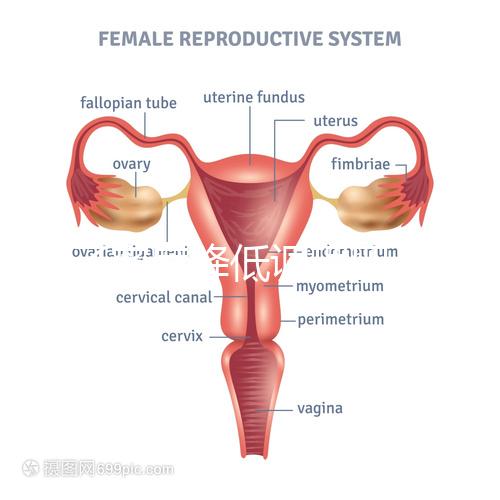 精子密度降低調(diào)理四步走，男性生育制勝法寶趕緊看看