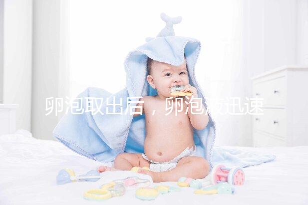 卵泡取出后，卵泡液迅速凝固異常發(fā)生了什么事