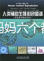 十個準媽媽六個都貧血，別讓貧血傷害你的“好孕”！