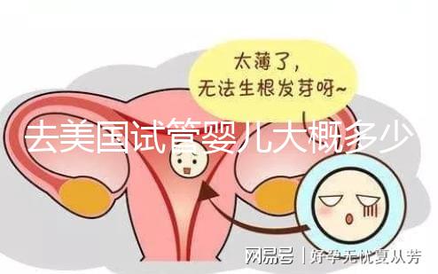 去美國試管嬰兒大概多少錢，省錢技巧有哪些必看