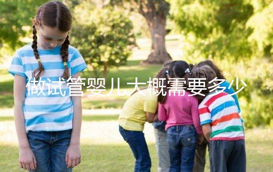 做試管嬰兒大概需要多少錢(qián)？