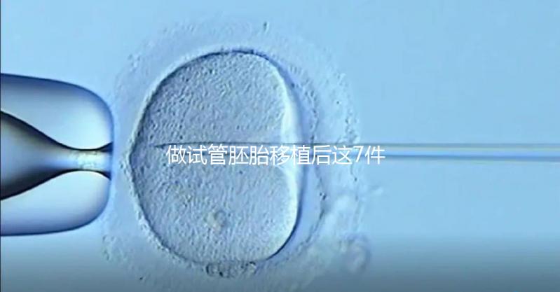 做試管胚胎移植后這7件事做錯，小心胚胎流掉！