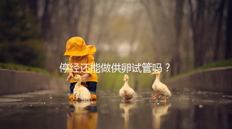 停經還能做供卵試管嗎？達到這4個條件成功率翻一番