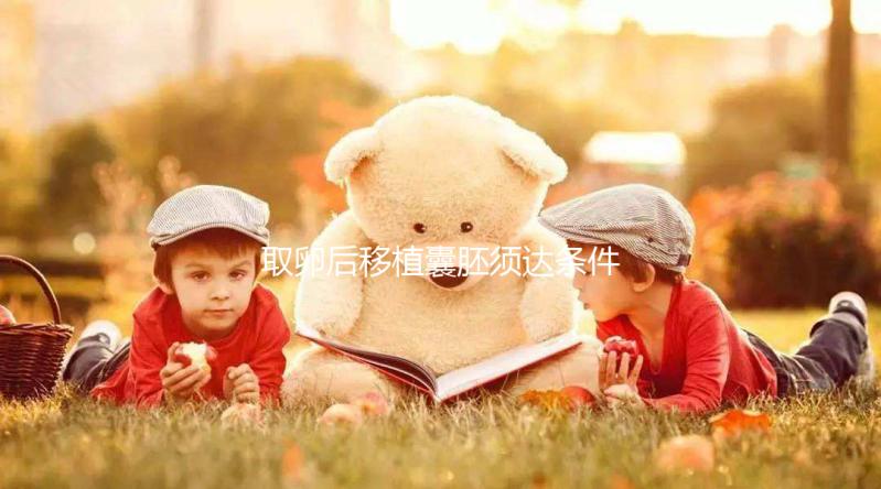 取卵后移植囊胚須達條件！至少要達到這3個標(biāo)準(zhǔn)