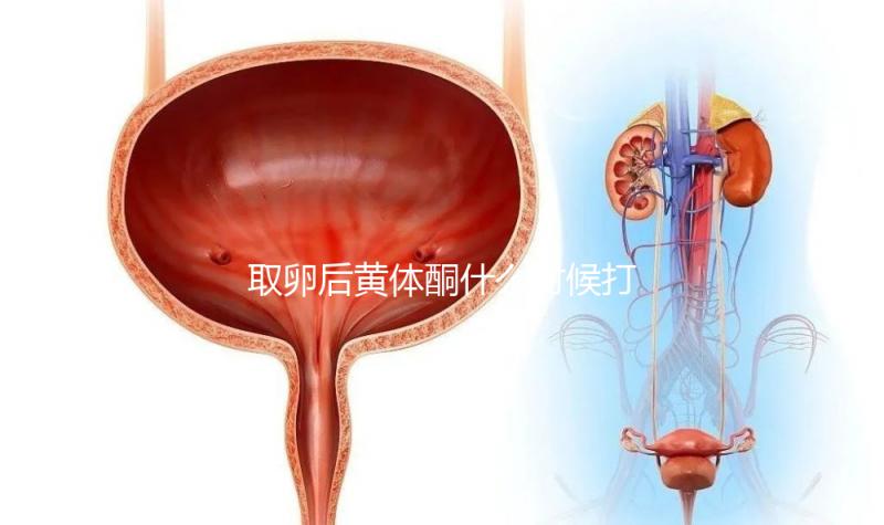 取卵后黃體酮什么時(shí)候打？3種人群最佳注射時(shí)間各不同