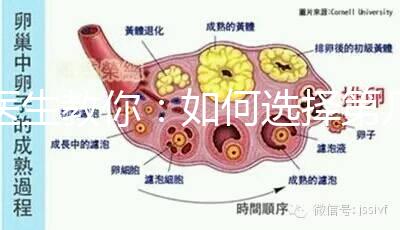 醫(yī)生教你:如何選擇第幾代試管嬰兒?看完再選
