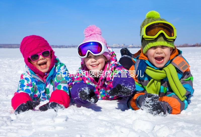 北京協(xié)和醫(yī)院做試管嬰兒需多少錢?附試管價(jià)格表