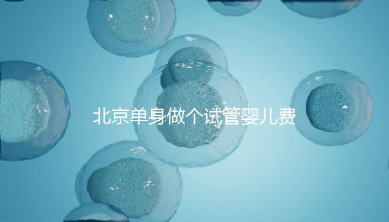 北京單身做個試管嬰兒費用大概要多少?