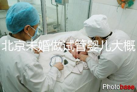 北京未婚做試管嬰兒大概多少錢？