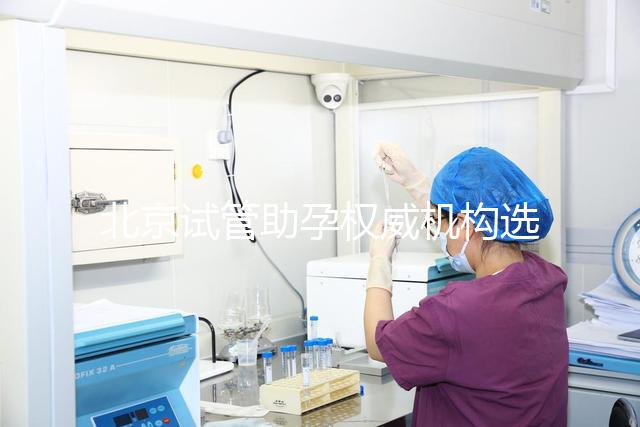 北京試管助孕權(quán)威機(jī)構(gòu)選擇完全指南
