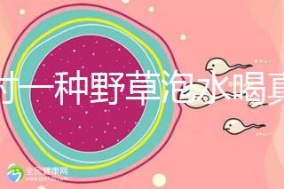 農(nóng)村一種野草泡水喝真能治便秘！配合這九種中草藥效果更好