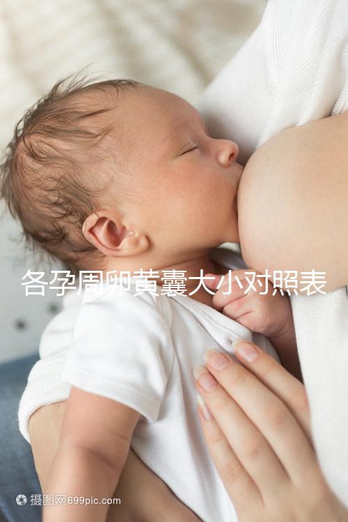 各孕周卵黃囊大小對照表，偏大、偏小都不正常