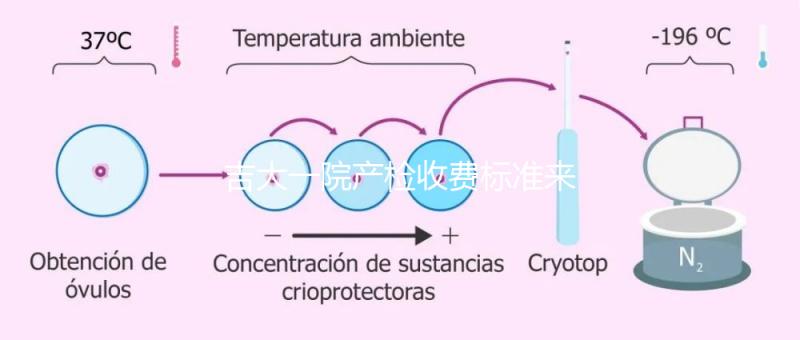 吉大一院產(chǎn)檢收費標(biāo)準(zhǔn)來了!免費項目和報銷比例一文說明