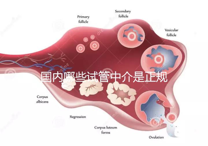 國內哪些試管中介是正規的看過來，可不止北京百匯這一家