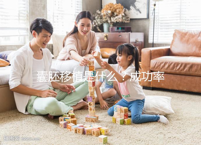 囊胚移植是什么?成功率