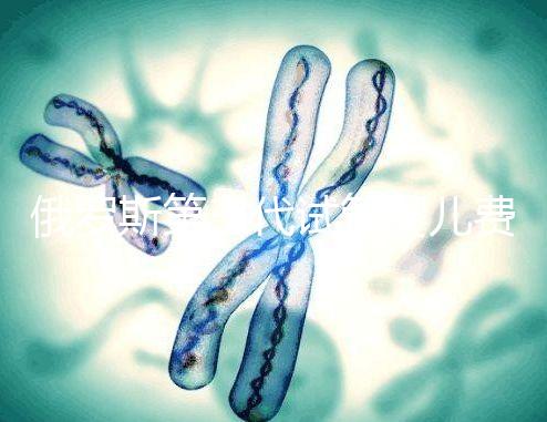 俄羅斯第三代試管嬰兒費用和成功率分別是多少