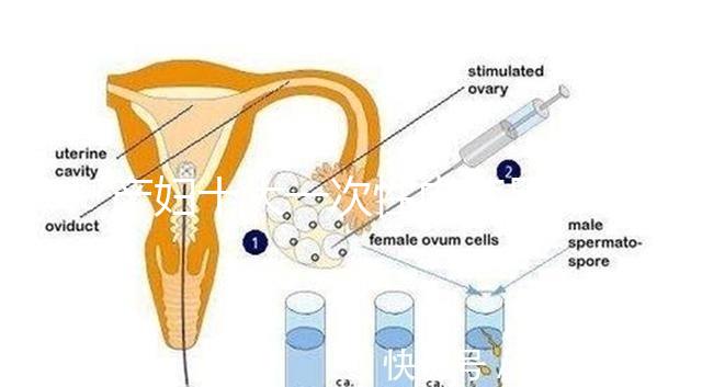 產婦十大一次性內褲品牌排行揭曉，全棉時代質量如何看這