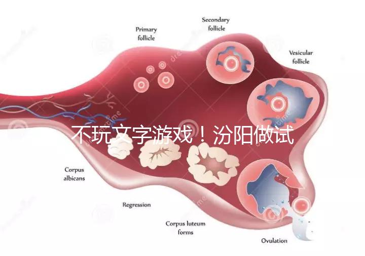 不玩文字游戲！汾陽做試管嬰兒成功率和費用一覽