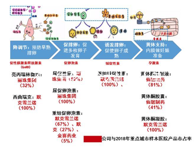 不止生孩子會大出血！單角子宮還要留意這4大健康威脅