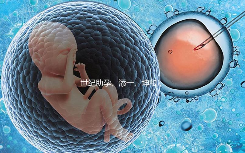 世紀(jì)助孕、添一、坤和，一起來看看上海助孕公司哪家好？