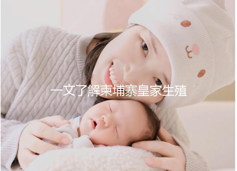 一文了解柬埔寨皇家生殖醫(yī)院:院長吳華林篇