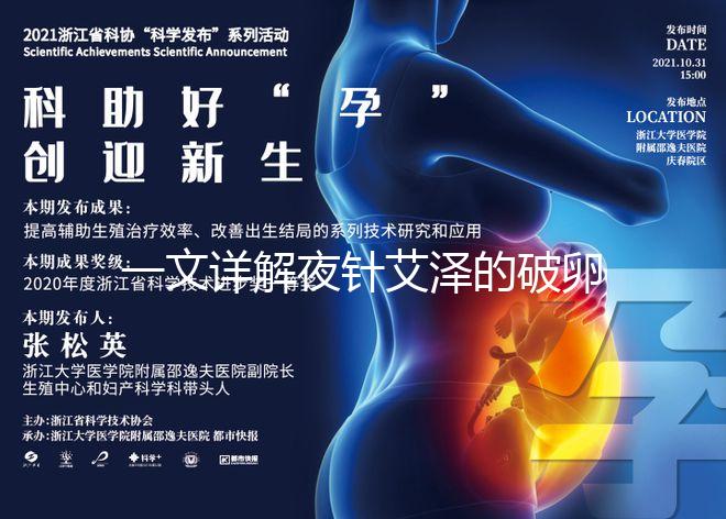 一文詳解夜針艾澤的破卵成功率，60s弄清跟絨促誰更高