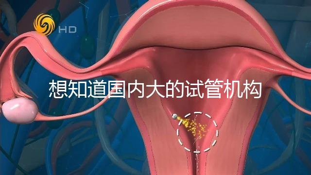 想知道國內(nèi)大的試管機構(gòu),可以查到的那種?
