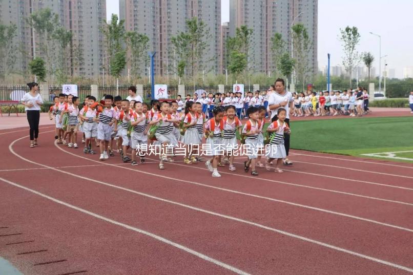 想知道當(dāng)歸是否能促進(jìn)卵泡發(fā)育,加入棗也能補(bǔ)充內(nèi)膜