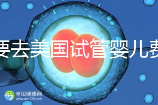 想要去美國試管嬰兒費用要花多少錢？2025年費用明細！