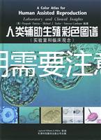 懷孕初期需要注意事項(xiàng)有哪些