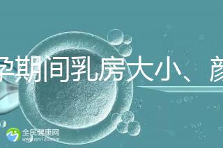 懷孕期間乳房大小、顏色變化有區別，男寶女寶這樣看