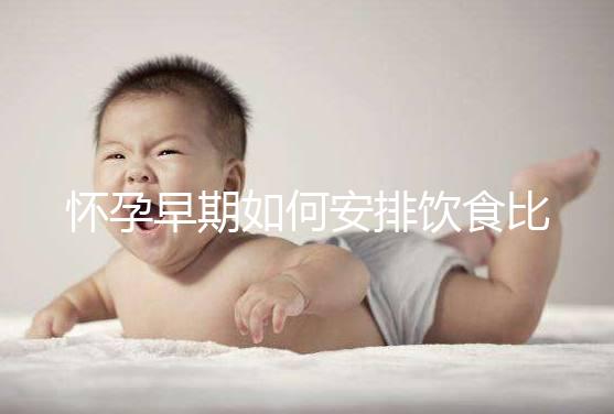 懷孕早期如何安排飲食比較好