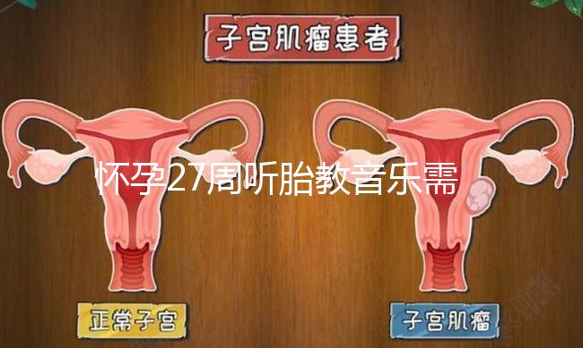 懷孕27周聽胎教音樂需要多長時間？過長會損害聽力