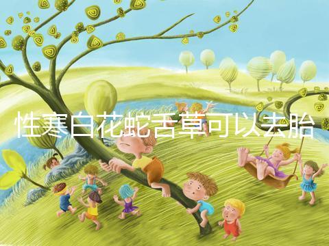 性寒白花蛇舌草可以去胎毒別亂吃！小心流產(chǎn)找上門