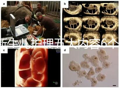 新生兒護理五大內容6個要點整理,嬰兒養育照護干貨來了