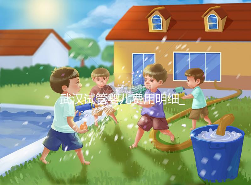 武漢試管嬰兒費用明細(xì)_一代二代三代試管價格及報銷政策