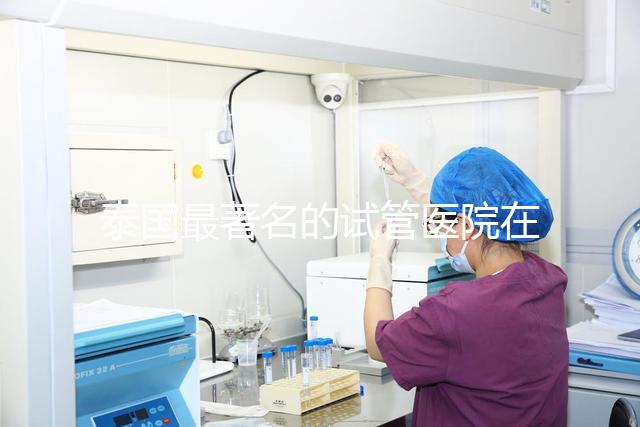 泰國最著名的試管醫(yī)院在哪里最好？推薦助孕機(jī)構(gòu)名單