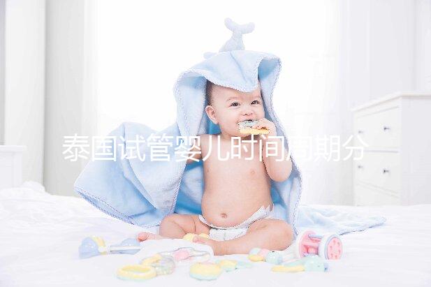 泰國試管嬰兒時間周期分析：附成功率介紹