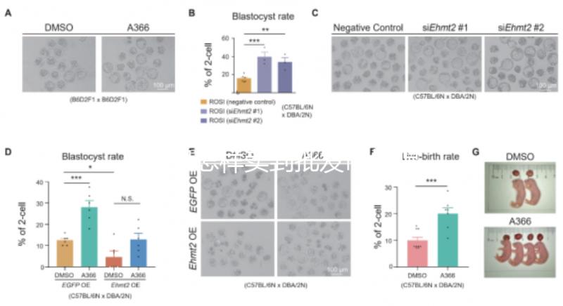 水果怎樣賣到批發(fā)市場呢（水果怎樣賣到批發(fā)市場呢視頻）