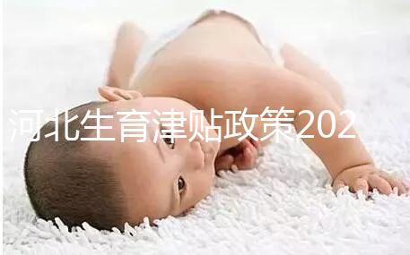 河北生育津貼政策2024,想造石家莊怎么算、多久到賬戳這