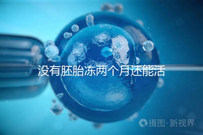沒(méi)有胚胎凍兩個(gè)月還能活著嗎？60s會(huì)告訴你怎么樣？