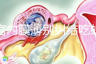 子宮內(nèi)膜薄別糾結(jié)吃蝦可不可以補(bǔ)上來(lái)了，效果好壞一看便知