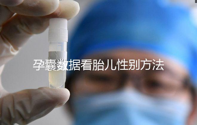 孕囊數據看胎兒性別方法，尺寸兩大一小是男孩瞎扯