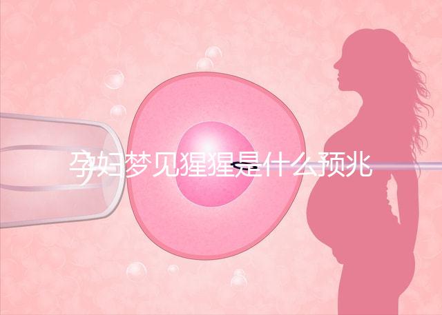 孕婦夢見猩猩是什么預(yù)兆？帶你了解相關(guān)胎夢解讀