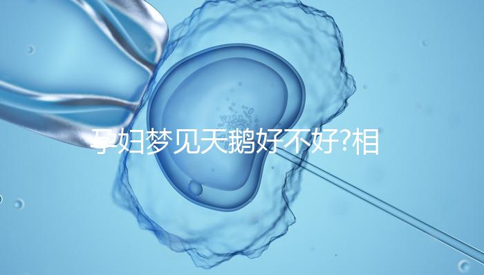 孕婦夢見天鵝好不好?相關的解讀大全都在這了